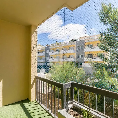 Guia Alamos * Cascais